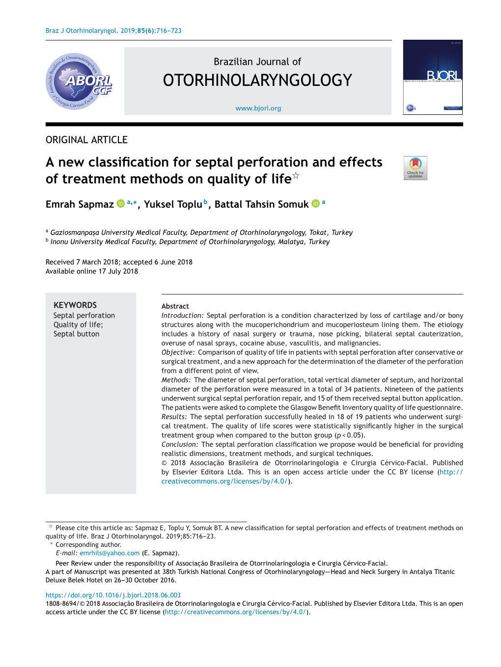 A New Classification for Septal Perforation and Effects of Treatment