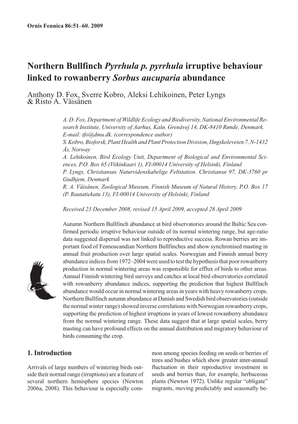 Northern Bullfinch Pyrrhula P. Pyrrhula Irruptive Behaviour Linked to Rowanberry Sorbus Aucuparia Abundance