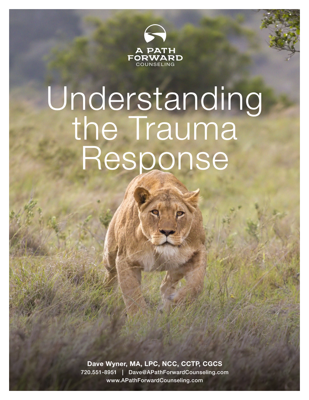 Understanding the Trauma Response