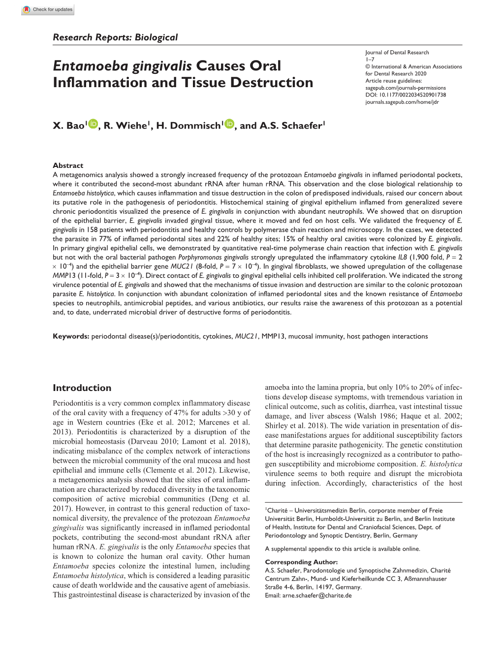 Entamoeba Gingivalis Causes Oral Inflammation And