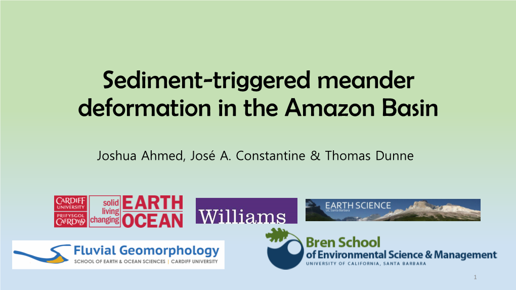 Sediment-Triggered Meander Deformation in the Amazon Basin