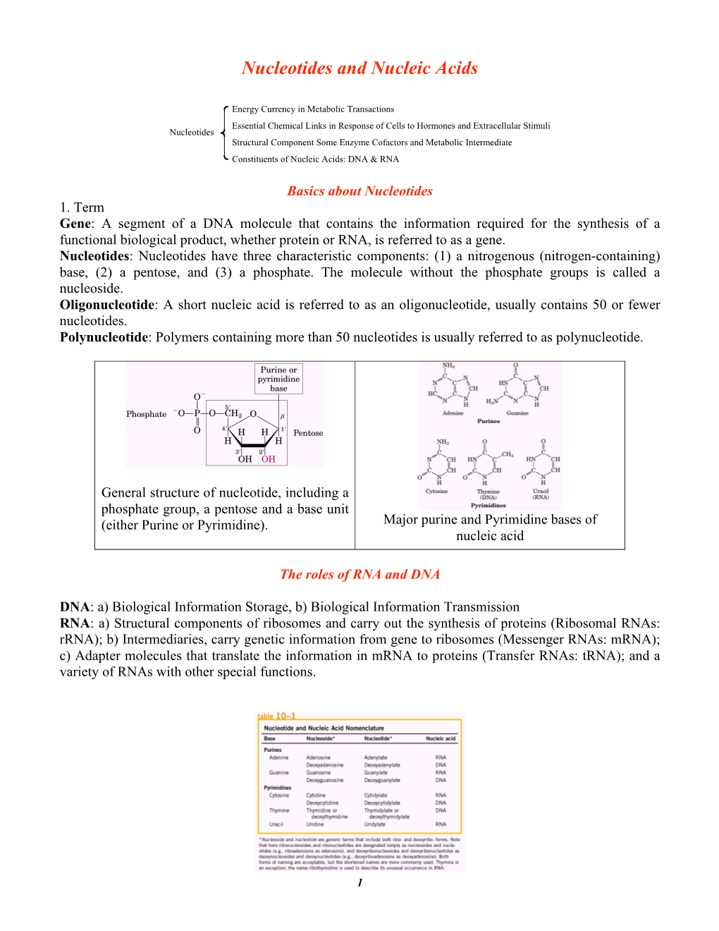 Nucleotides and Nucleic Acids