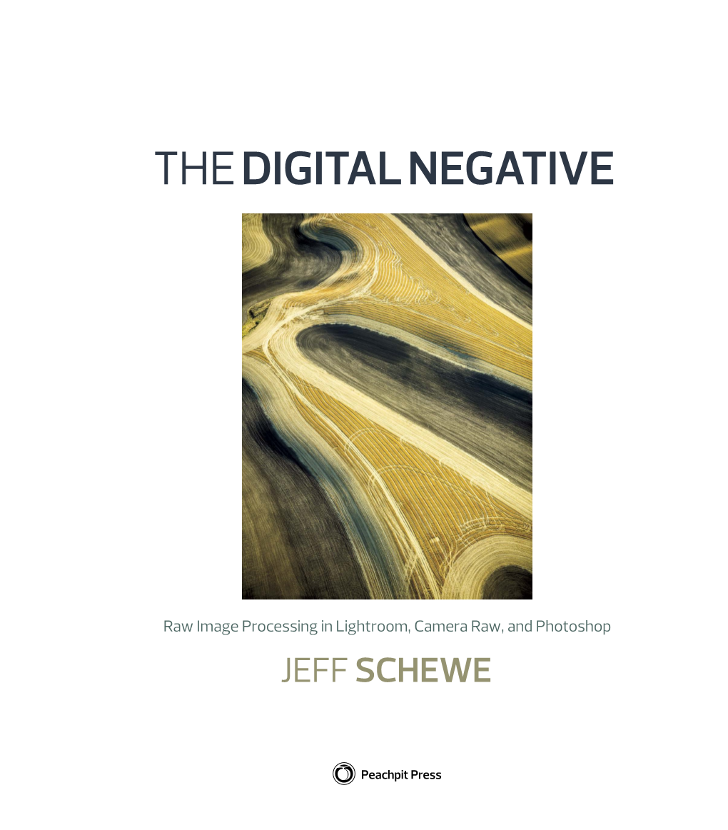 The DIGITAL NEGATIVE & PRINT Books