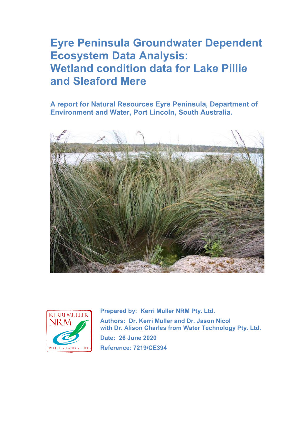 Eyre Peninsula Groundwater Dependent Ecosystem Data Analysis: Wetland Condition Data for Lake Pillie and Sleaford Mere