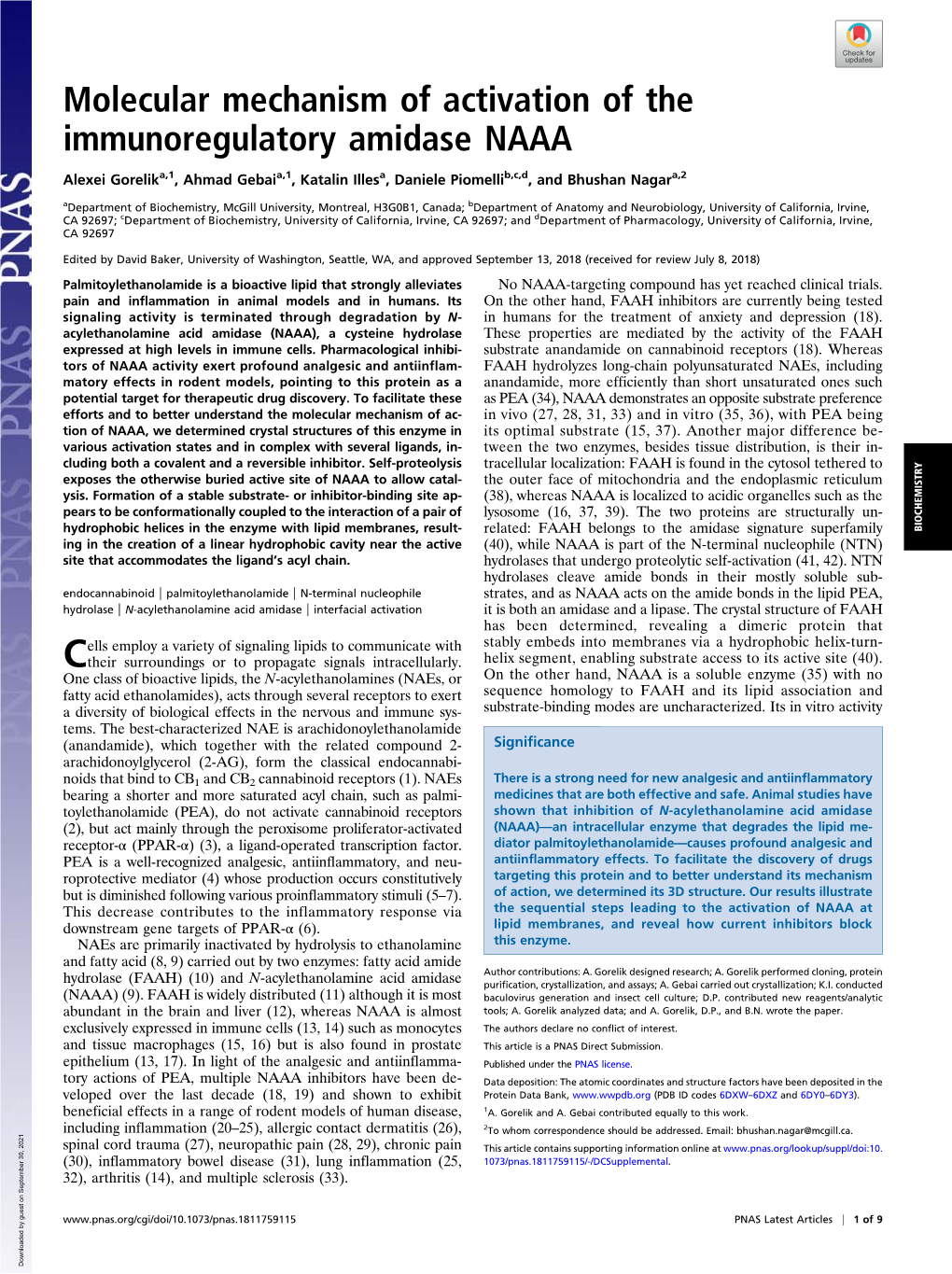 Molecular Mechanism of Activation of the Immunoregulatory Amidase NAAA