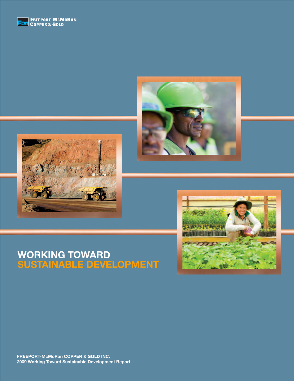 2009 Working Toward Sustainable Development Report