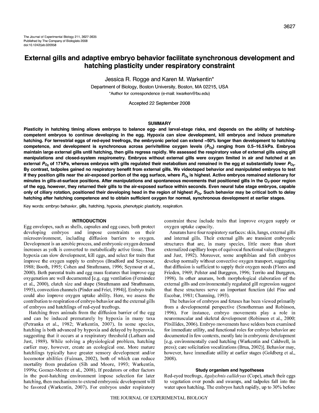 External Gills and Adaptive Embryo Behavior Facilitate Synchronous Development and Hatching Plasticity Under Respiratory Constraint