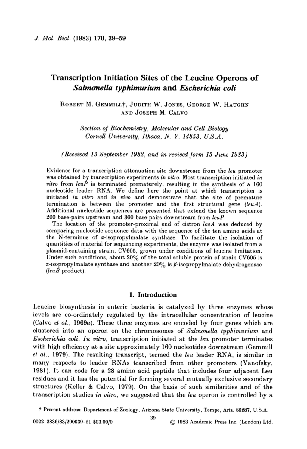 Transcription Initiation Sites of the Leucine Operons of Salmonella Typhimurium and Escherichia Coli