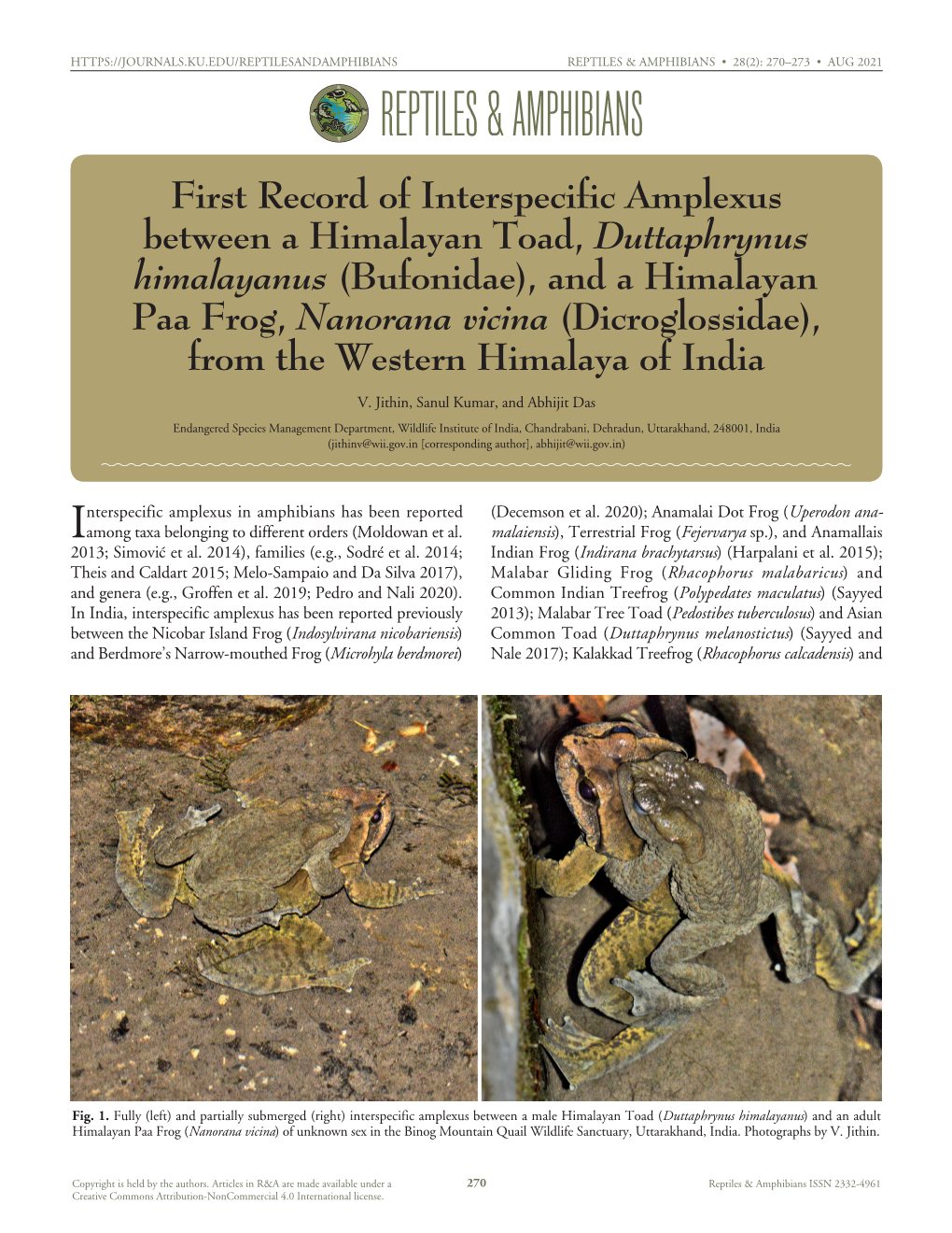 Cfreptiles & Amphibians