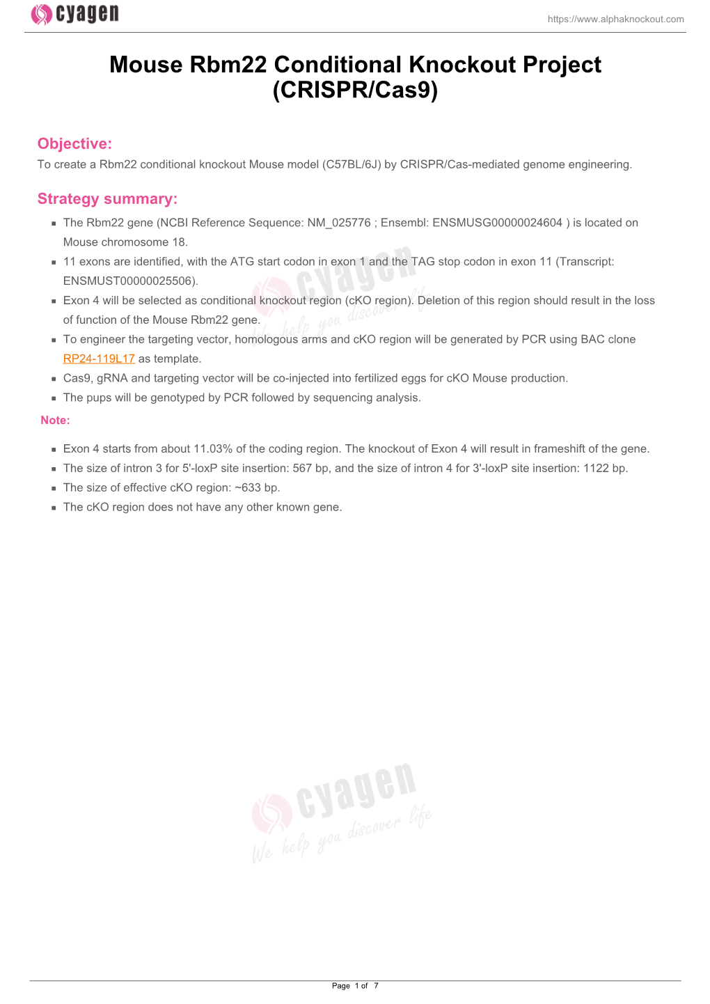 Mouse Rbm22 Conditional Knockout Project (CRISPR/Cas9)