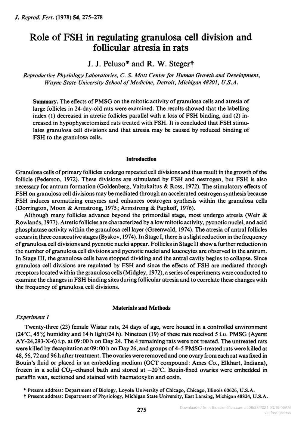 Role of FSH in Regulating Granulosa Cell Division and Follicular Atresia in Rats J