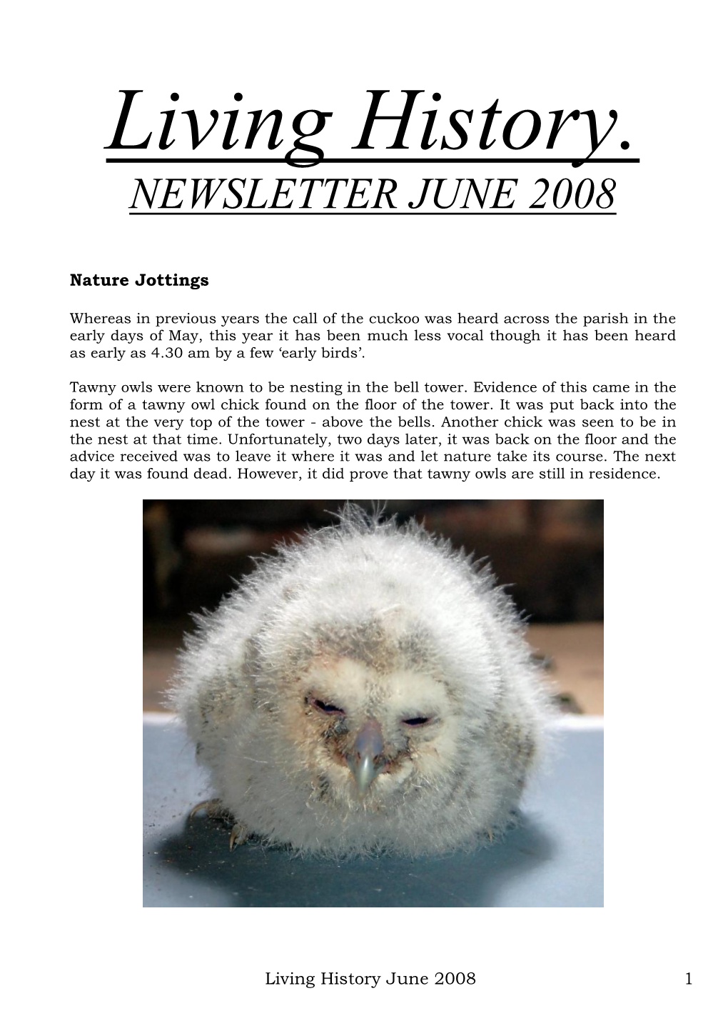 Newsletter June 2008