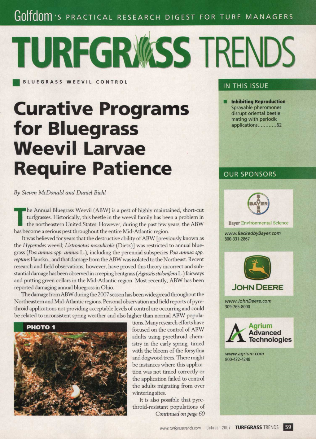 Curative Programs for Bluegrass Weevil Larvae Require Patience