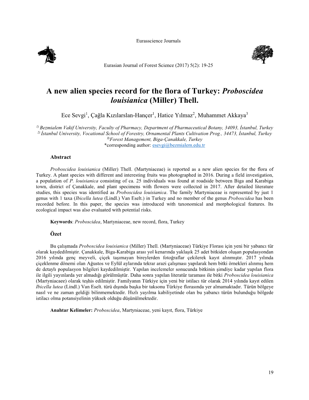 Proboscidea Louisianica (Miller) Thell
