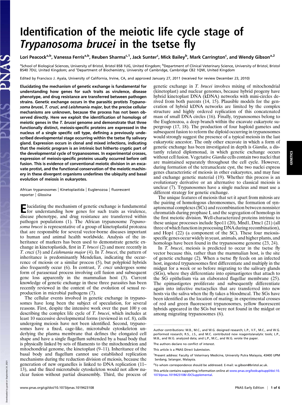 Identification of the Meiotic Life Cycle Stage of Trypanosoma Brucei in The