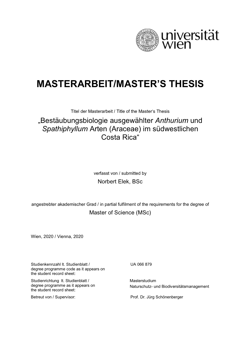 Masterarbeit/Master's Thesis