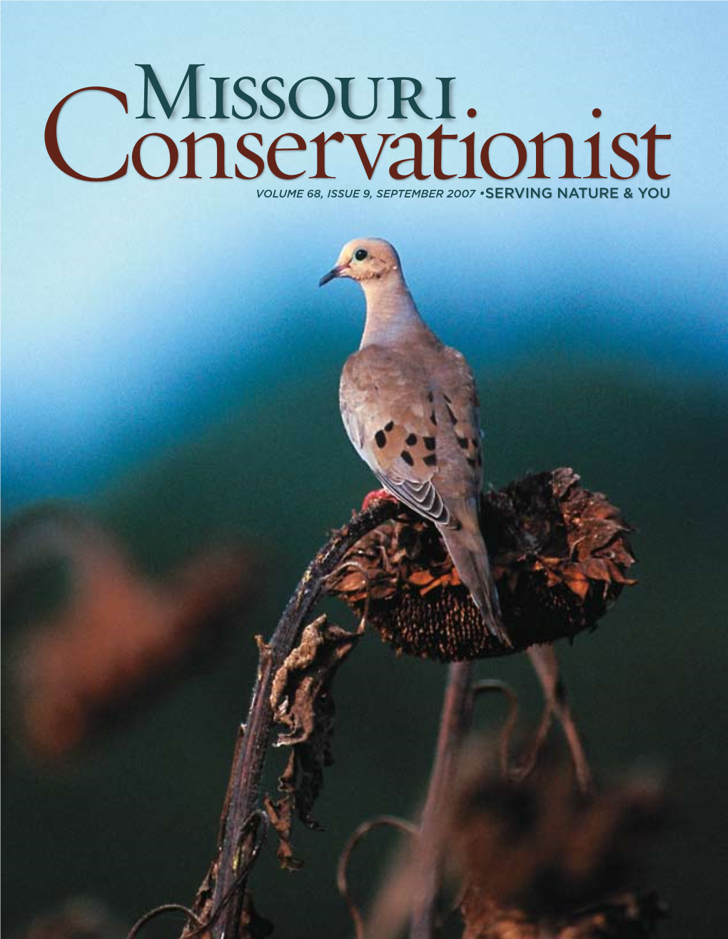 Missouri Conservationist, August 2007