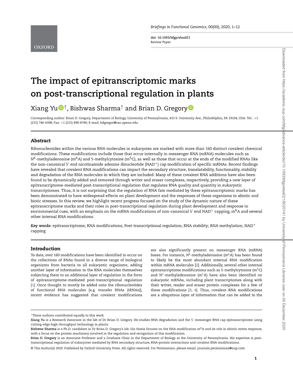 The Impact of Epitranscriptomic Marks on Post-Transcriptional Regulation in Plants