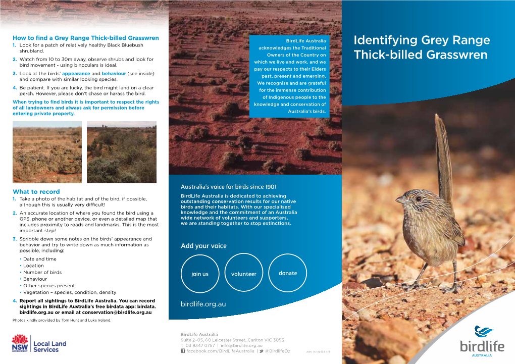 Grey Range Thick-Billed Grasswren Brochure