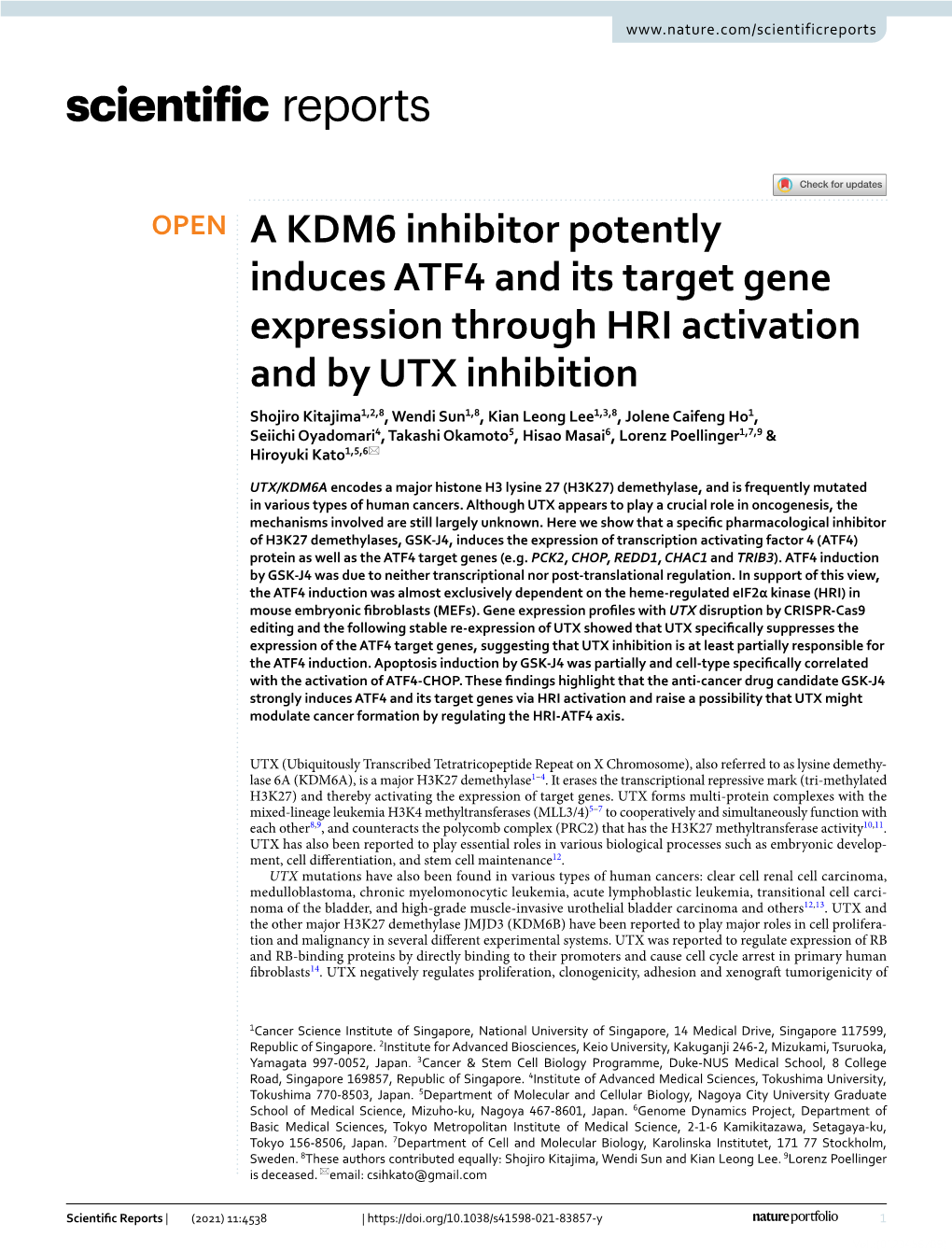 A KDM6 Inhibitor Potently Induces ATF4 and Its Target Gene Expression Through HRI Activation and by UTX Inhibition