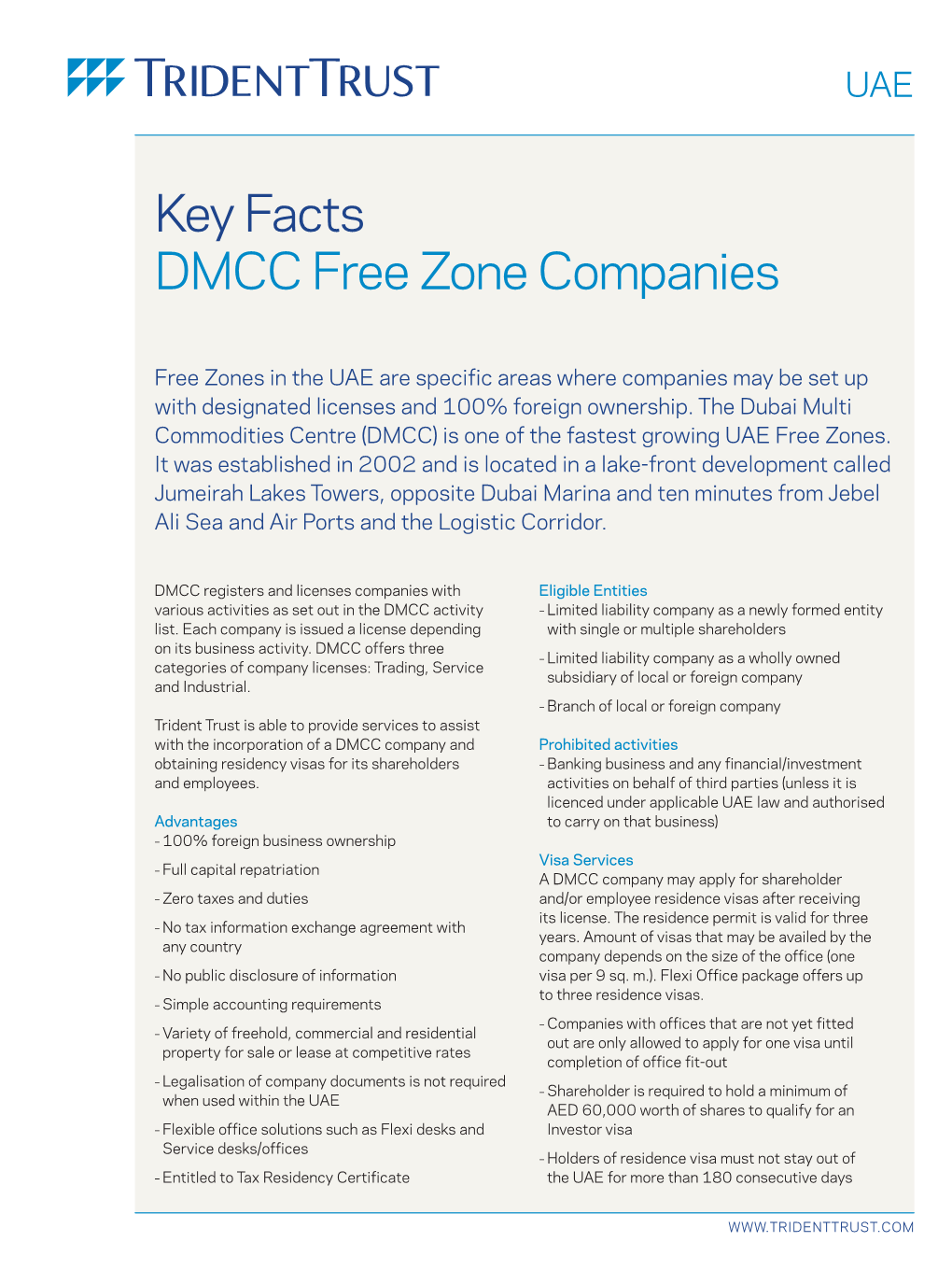 UAE DMCC Free Zone Companies Key Facts