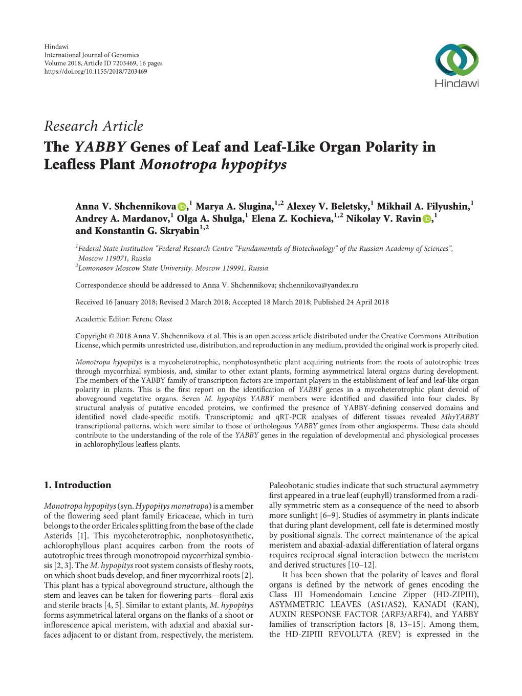 The YABBY Genes of Leaf and Leaf-Like Organ Polarity in Leafless Plant Monotropa Hypopitys