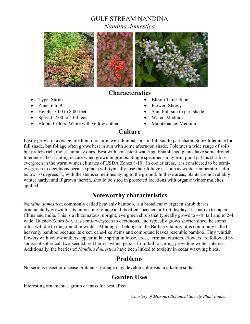 GULF STREAM NANDINA Nandina Domestica Characteristics Culture Noteworthy Characteristics Problems Garden Uses