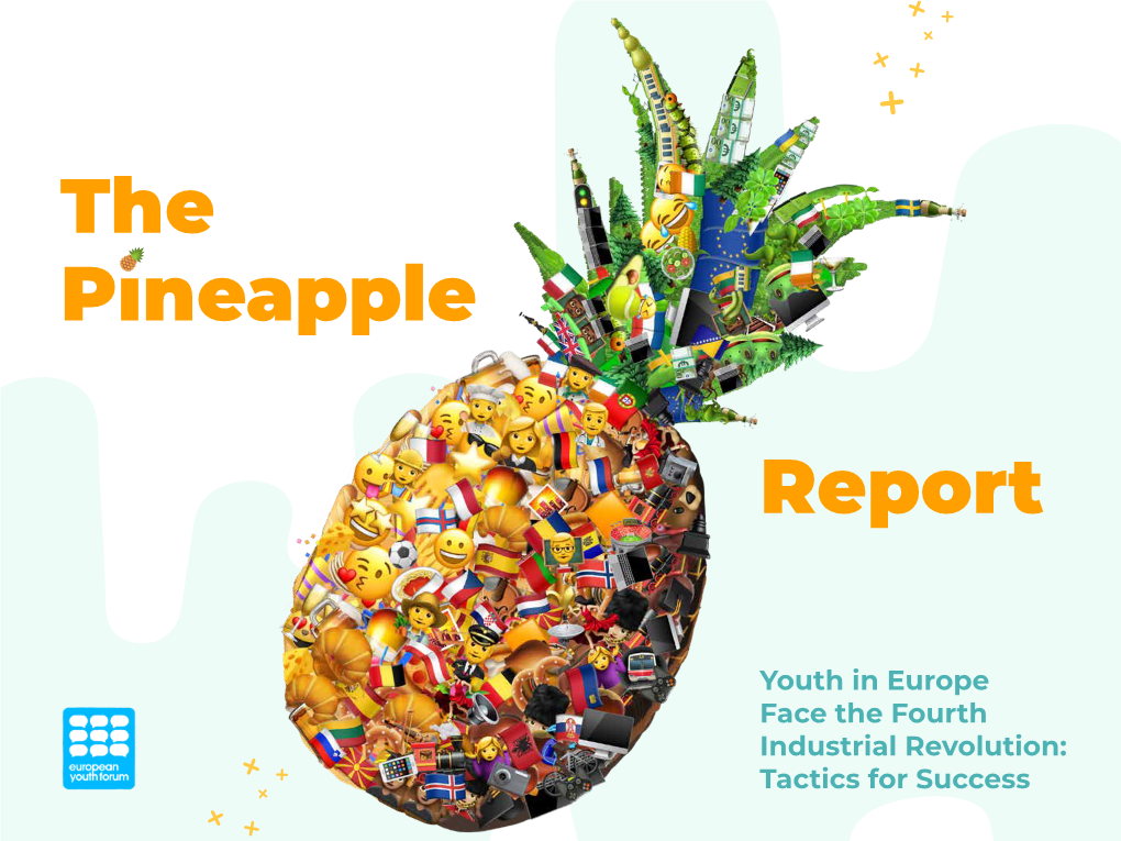 Youth in Europe Face the Fourth Industrial Revolution: Tactics for Success Overview Content