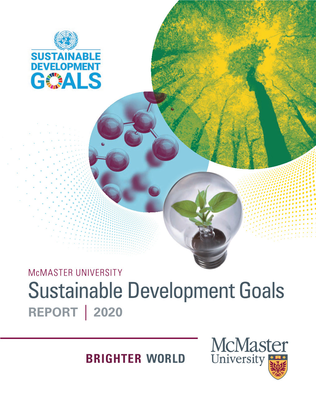 Mcmaster UNIVERSITY Sustainable Development Goals REPORT | 2020 ADVANCING HUMAN and SOCIETAL HEALTH and WELL-BEING TABLE of CONTENTS