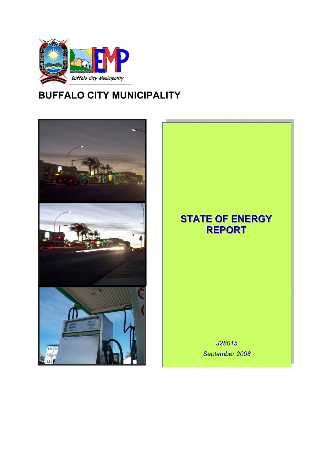Buffalo City Municipality State of Energy Report Table of Contents