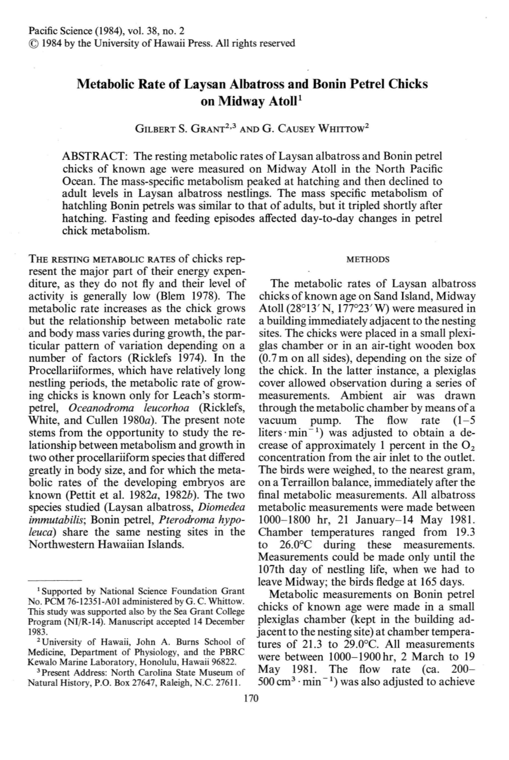 Metabolic Rate of Laysan Albatross and Bonin Petrel Chicks on Midway Atoll!