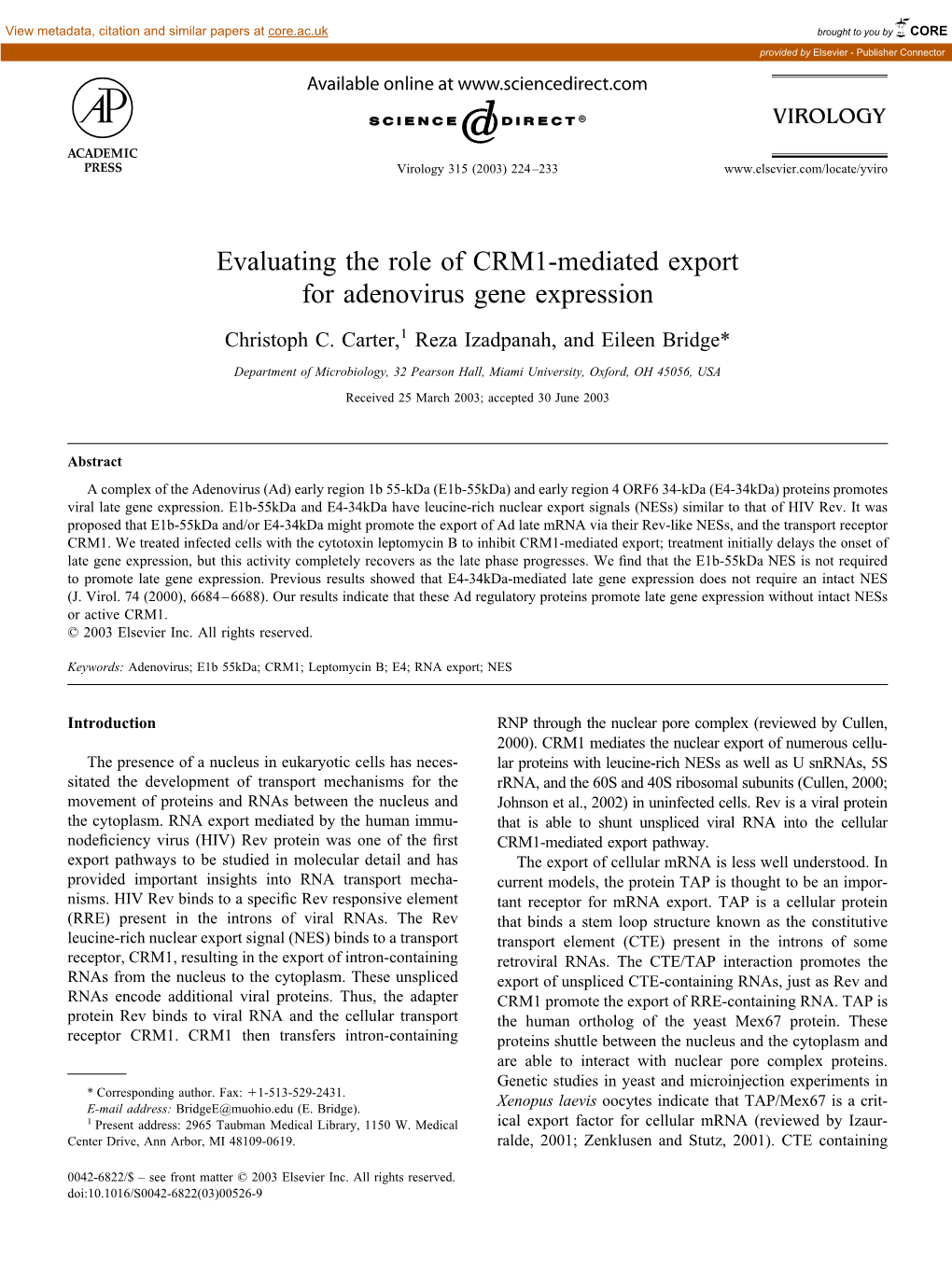 Evaluating the Role of CRM1-Mediated Export for Adenovirus Gene Expression