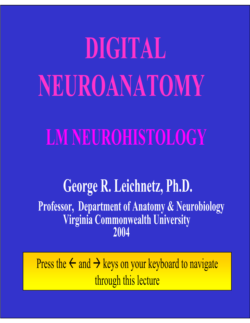 Digital Neuroanatomy