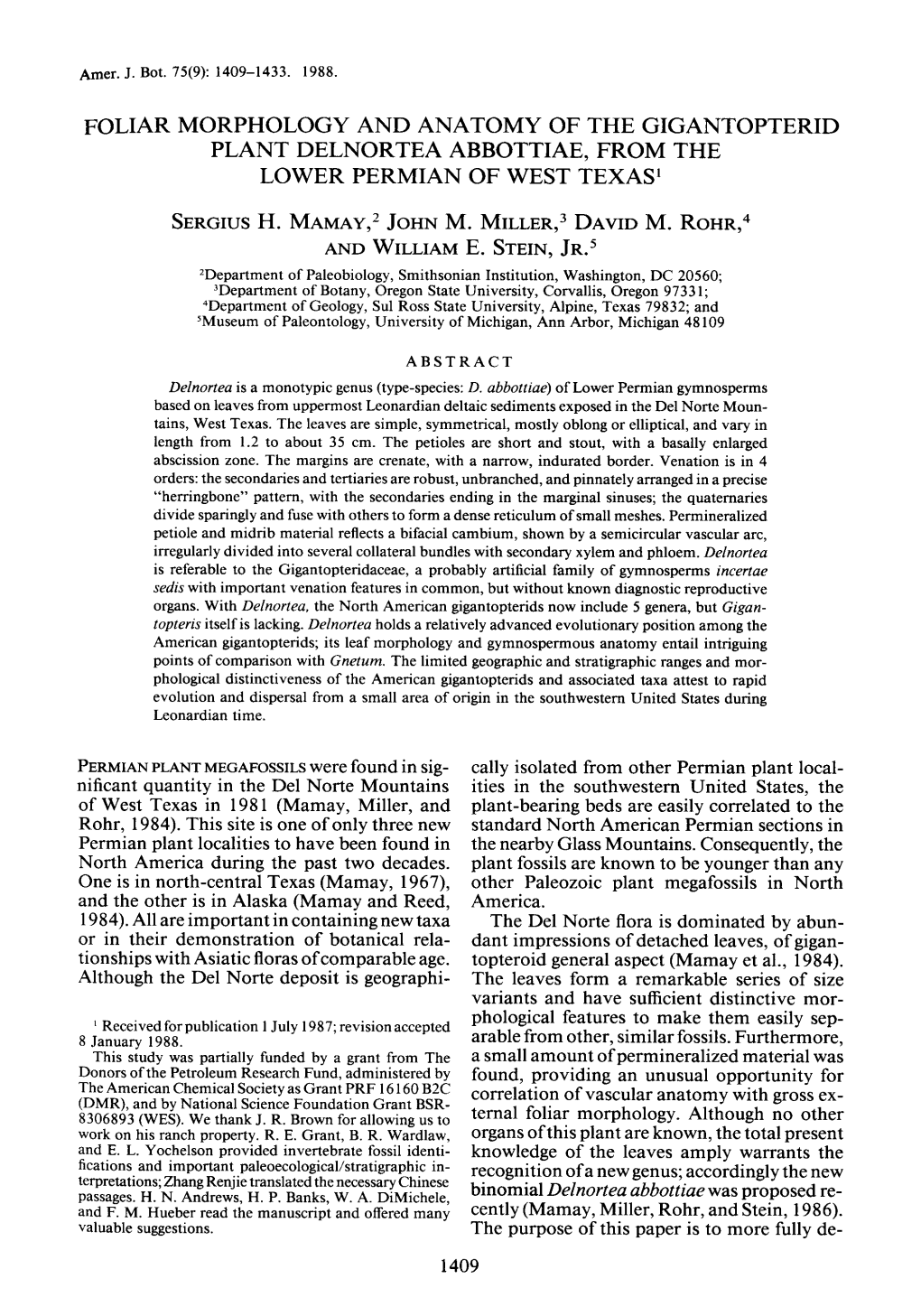 FOLIAR MORPHOLOGY and ANATOMY of the GIGANTOPTERID PLANT DELNORTEA ABBOTTIAE, from the LOWER PERMIAN of WEST Texasl