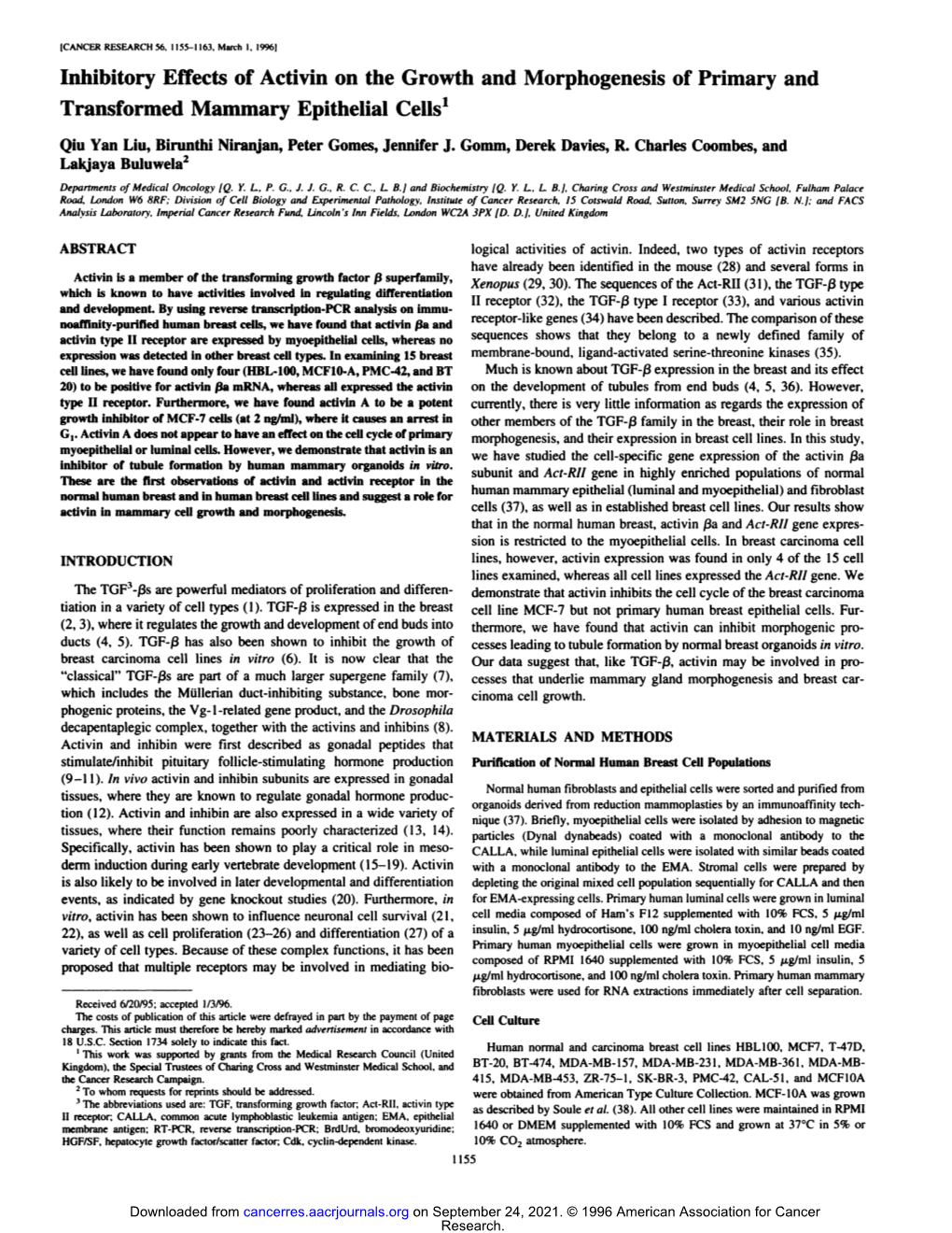 Inhibitory Effects of Activin on the Growth and Morphogenesis of Primary and Transformed Mammary Epithelial Cells'