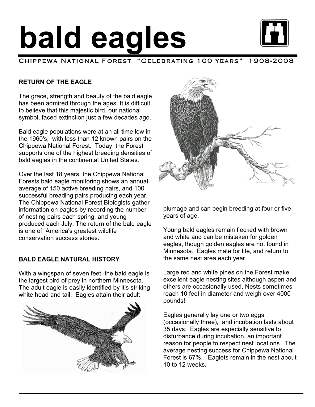 Bald Eagles Chippewa National Forest “Celebrating 100 Years” 1908-2008