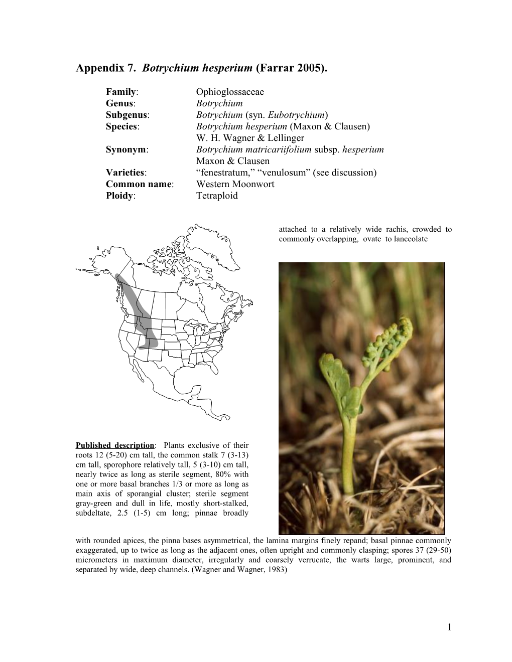 Appendix 7. Botrychium Hesperium (Farrar 2005)