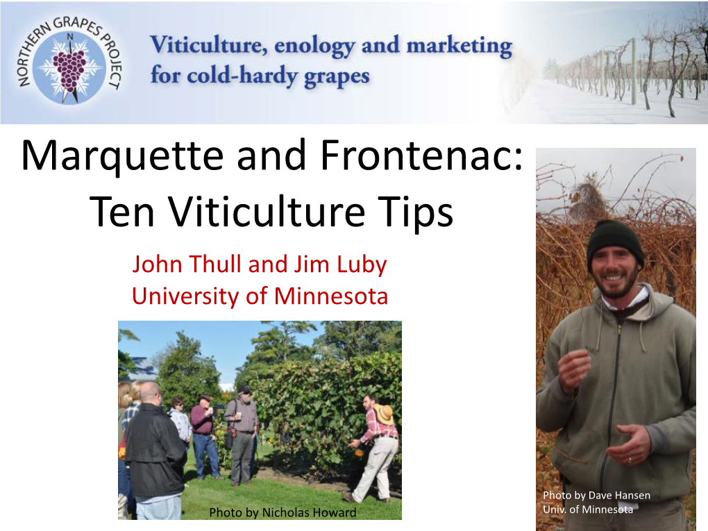 Marquette and Frontenac: Ten Viticulture Tips John Thull and Jim Luby University of Minnesota