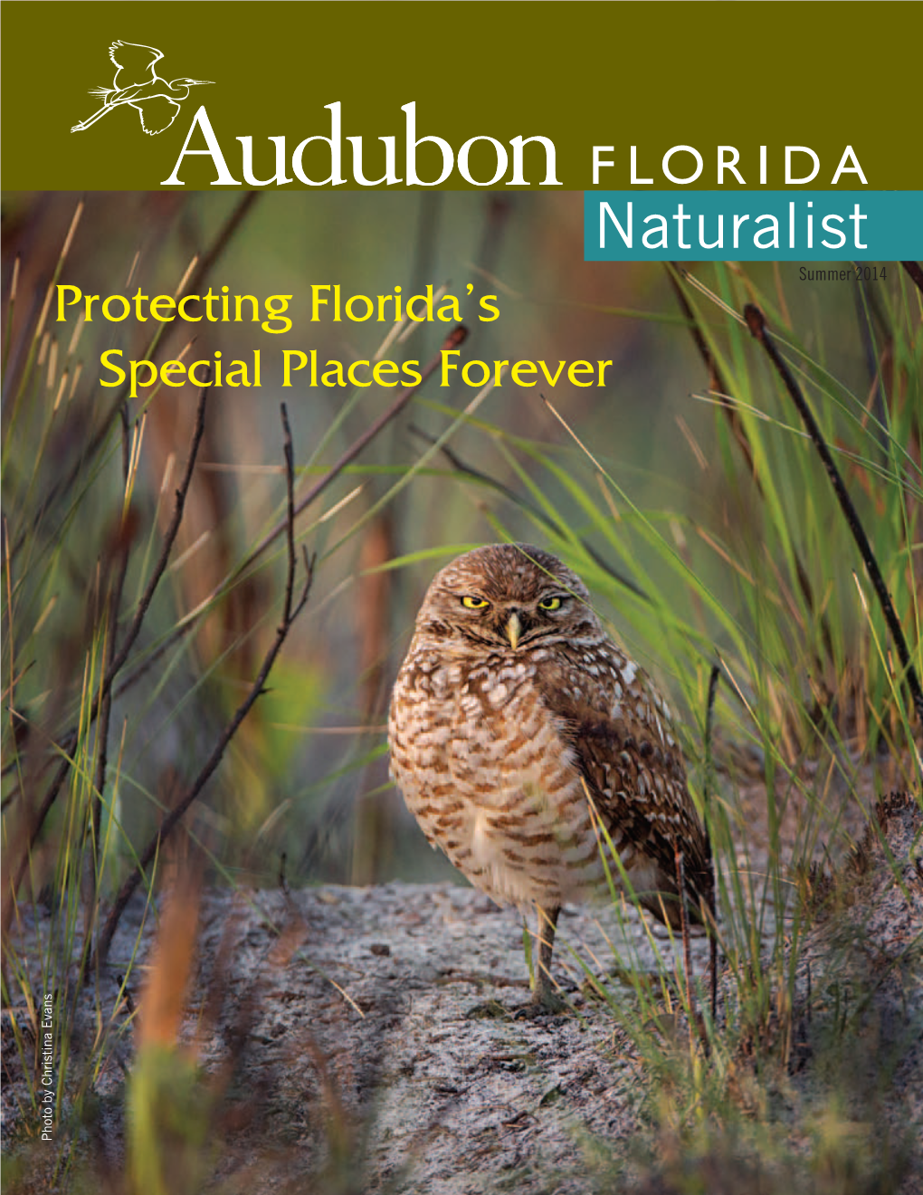 Naturalist Summer 2014 Protecting Florida’S Special Places Forever