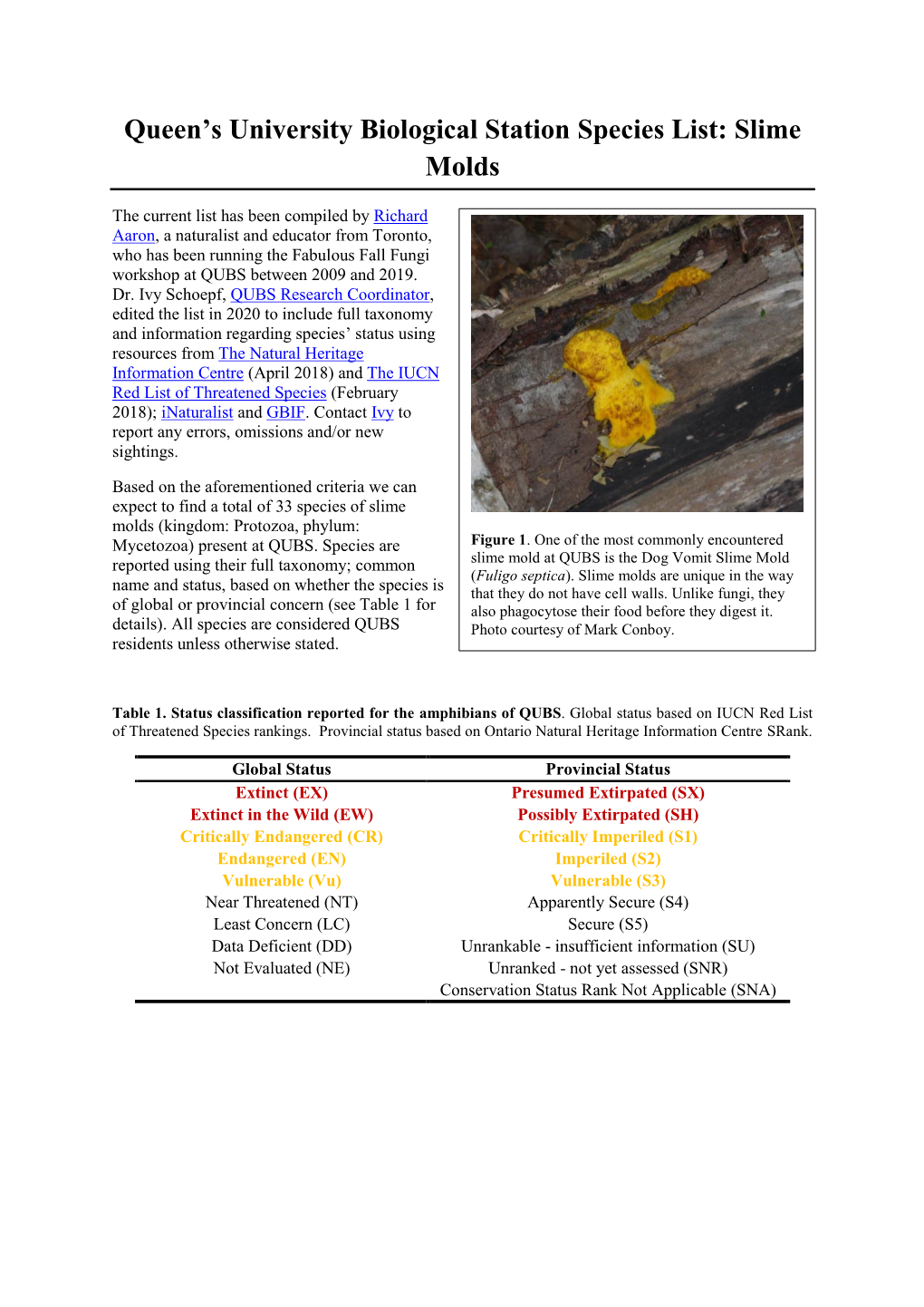 Slime Moulds