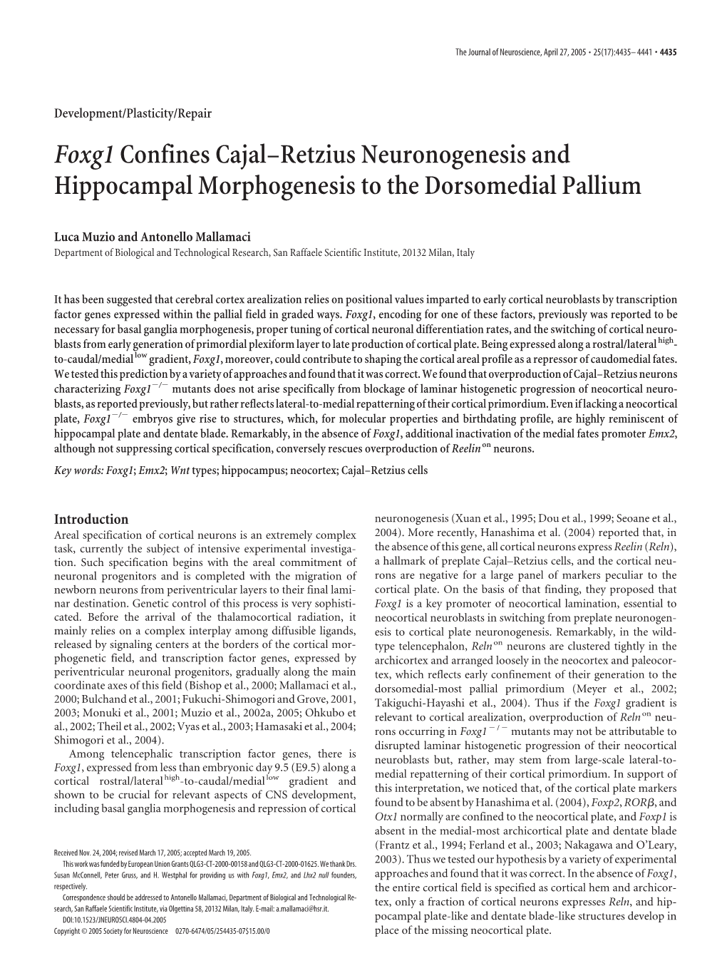 Foxg1confines Cajal–Retzius Neuronogenesis and Hippocampal