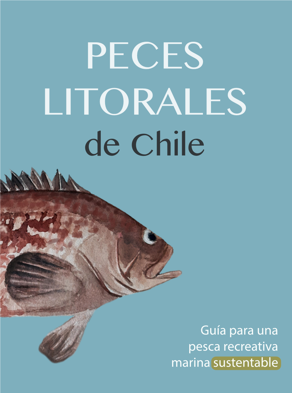 Guía De Peces Litorales