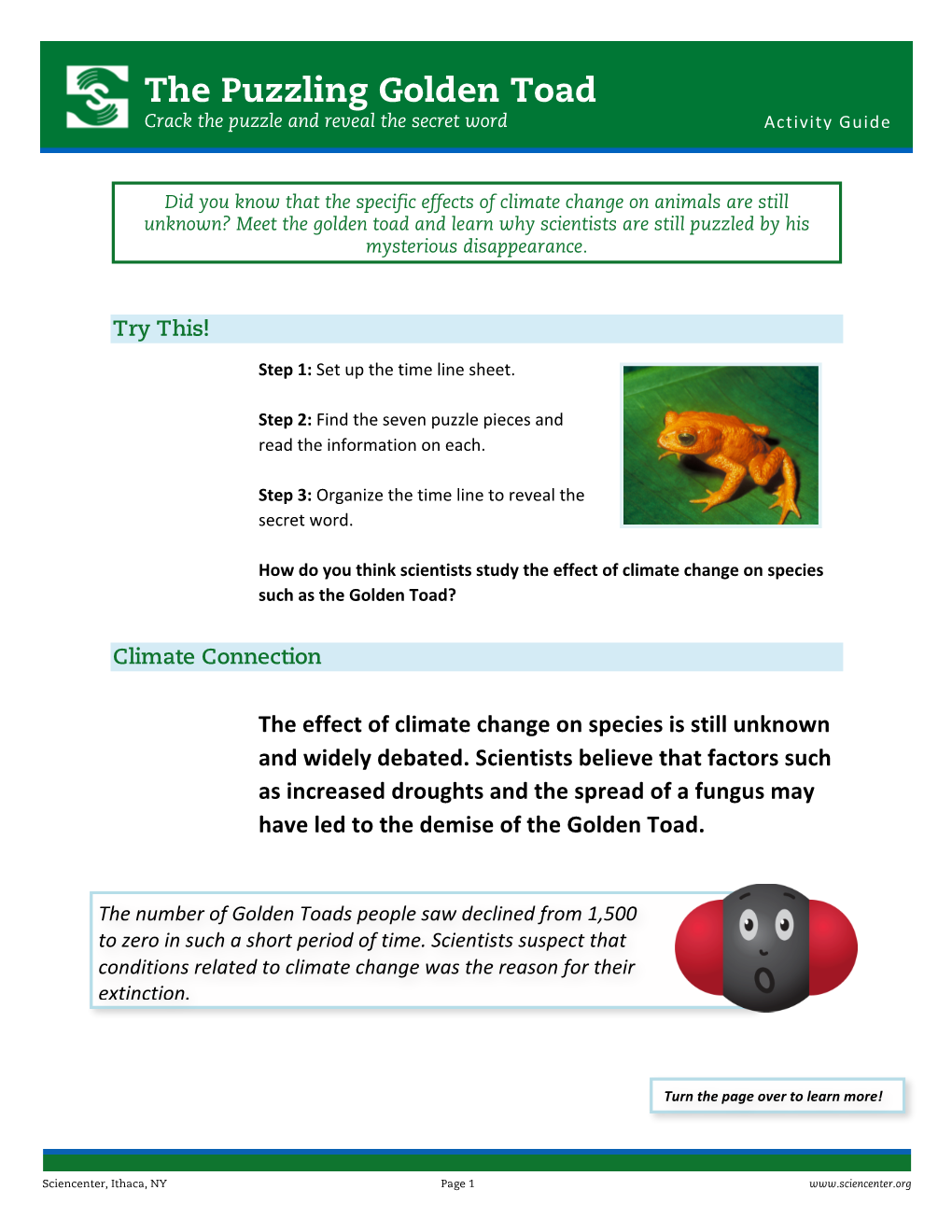 The Puzzling Golden Toad Crack the Puzzle and Reveal the Secret Word Activity Guide