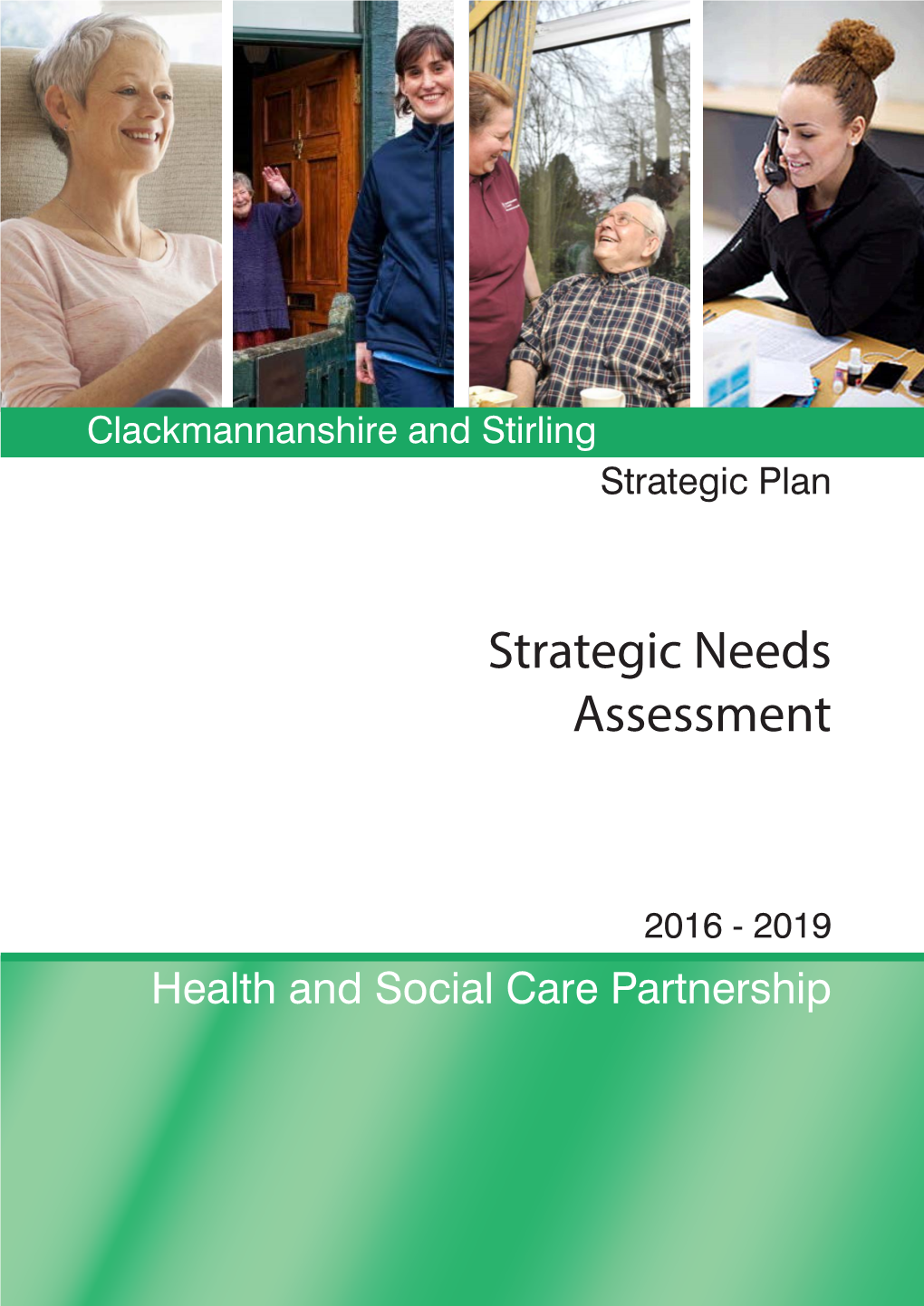 Strategic Needs Assessment