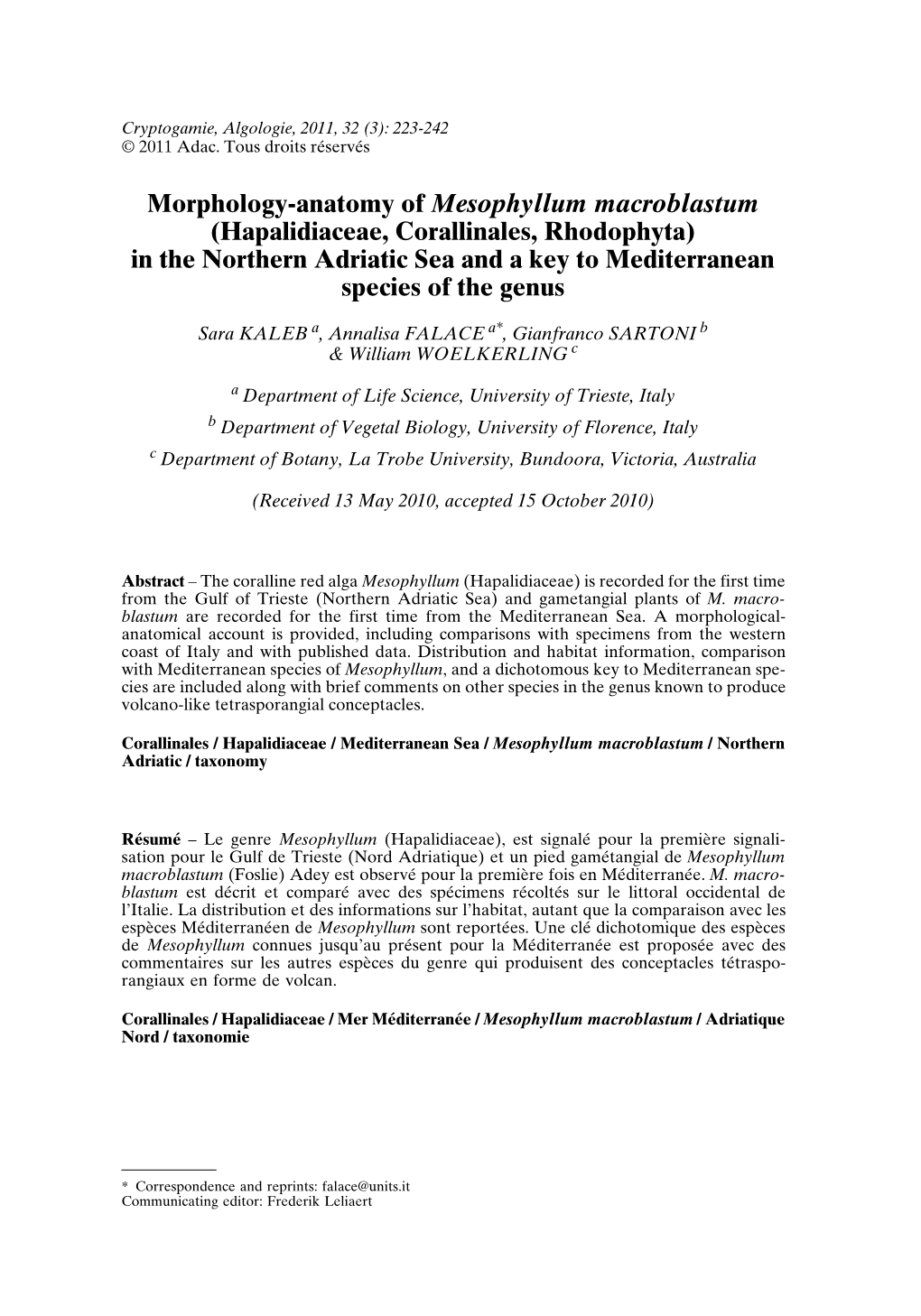 Morphology-Anatomy of Mesophyllum Macroblastum (Hapalidiaceae, Corallinales, Rhodophyta) in the Northern Adriatic Sea and a Key to Mediterranean Species of the Genus