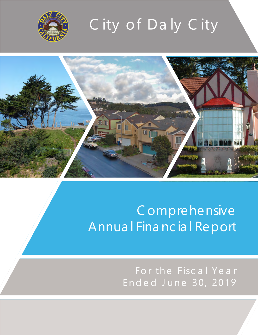 Fiscal Year 2019 Annual Financial Report