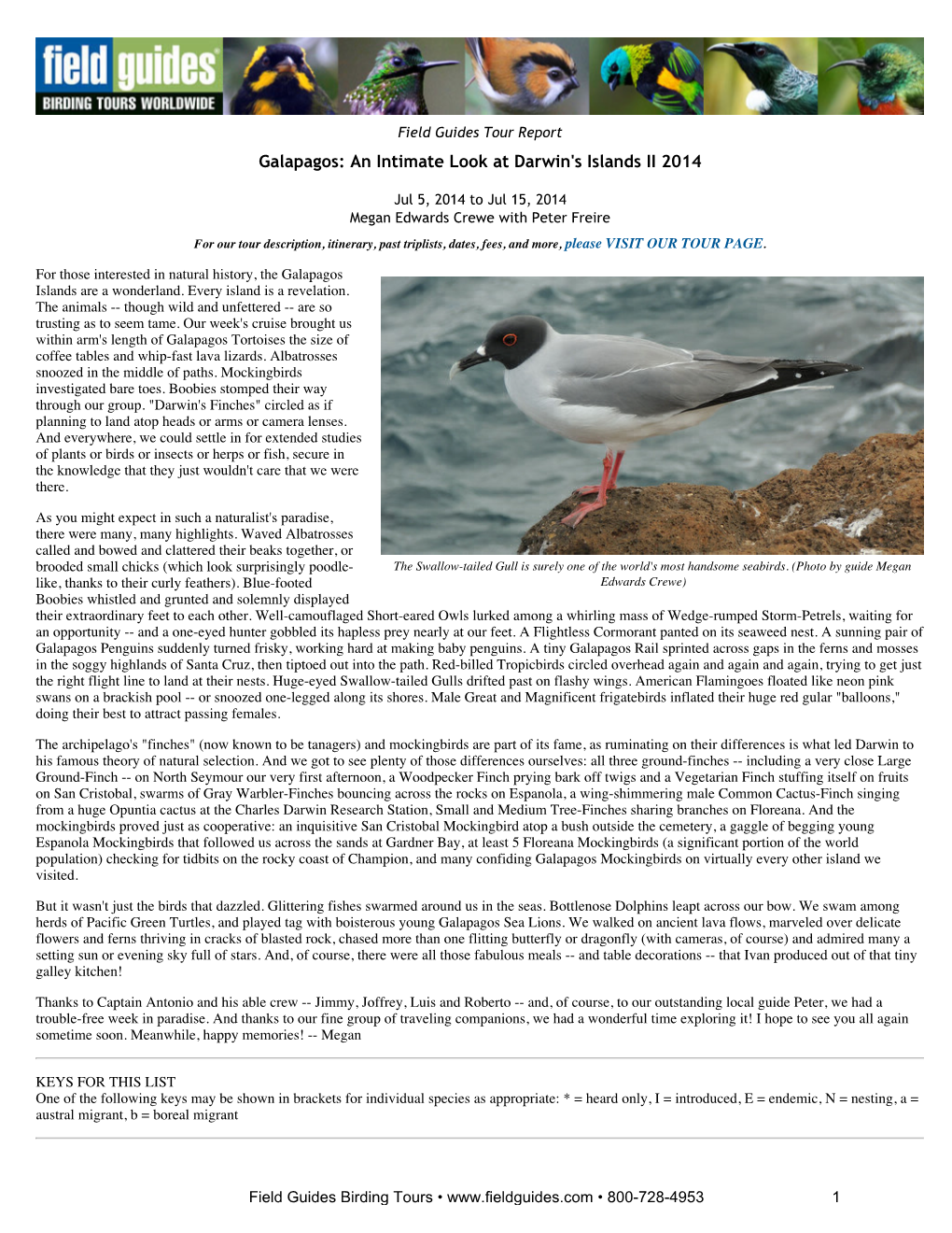 FIELD GUIDES BIRDING TOURS: Galapagos: an Intimate Look At