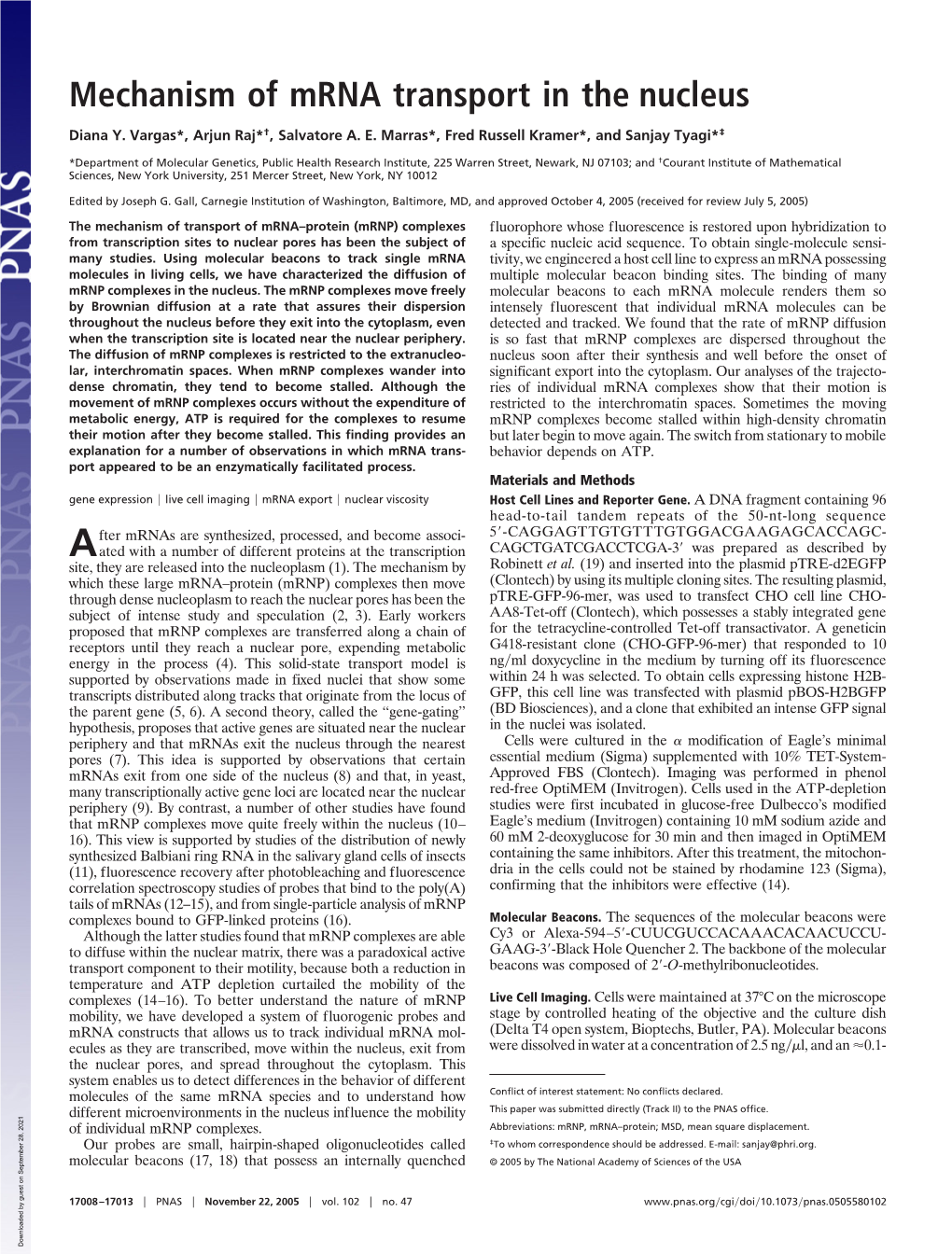 Mechanism of Mrna Transport in the Nucleus