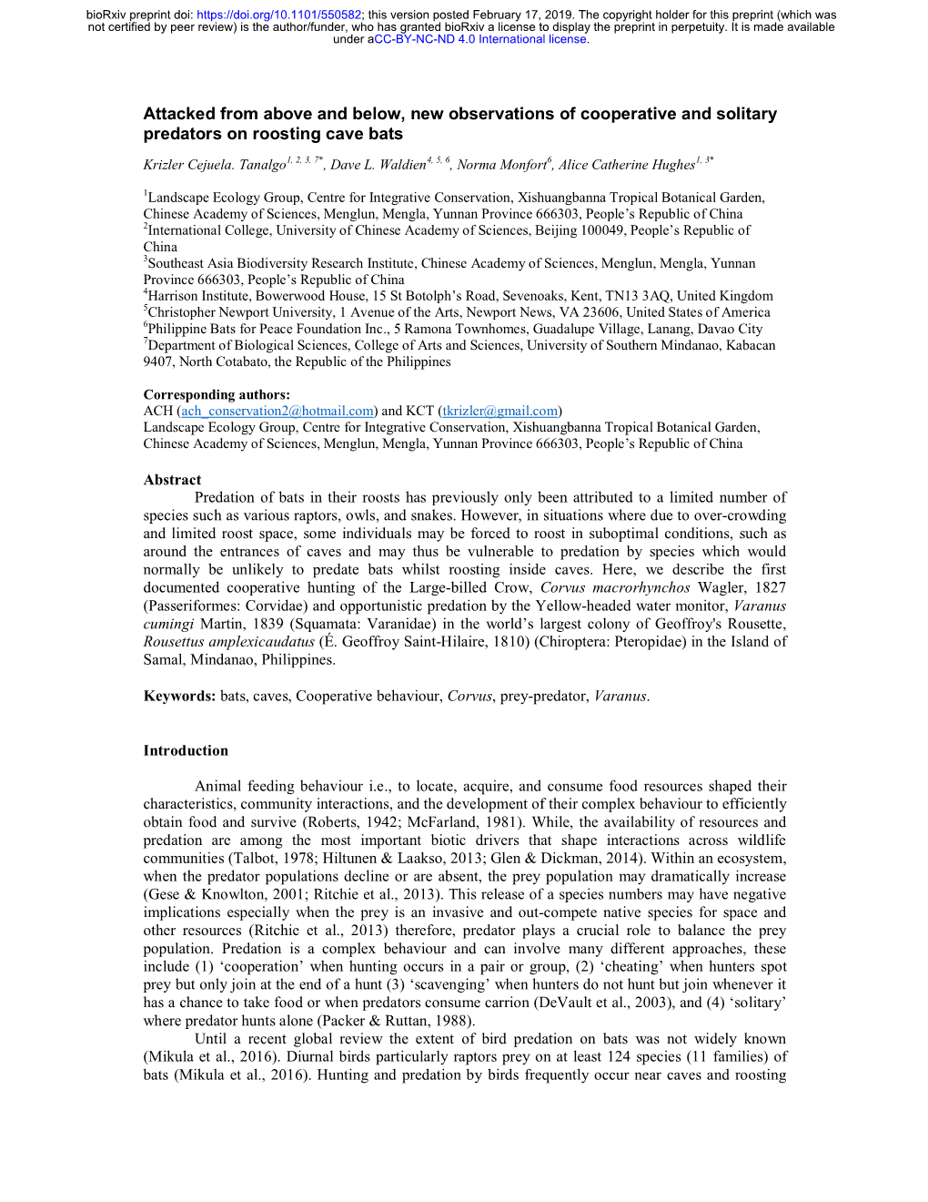 Attacked from Above and Below, New Observations of Cooperative and Solitary Predators on Roosting Cave Bats