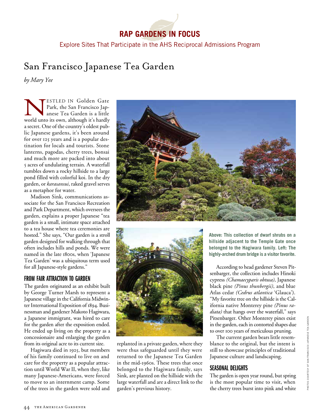 San Francisco Japanese Tea Garden by Mary Yee